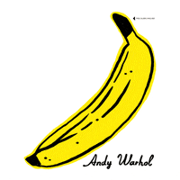 #thevelvetunderground #tvu50 GIF by Stefanie Shank
