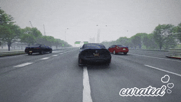 Speeding Assetto Corsa GIF by Curated Stance!