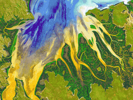 earth earthviews GIF by NASA