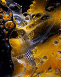 Bg Network GIF by Aleksey Efremov