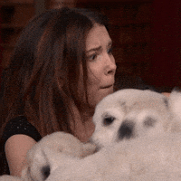 Tonight Show Puppies GIF by The Tonight Show Starring Jimmy Fallon