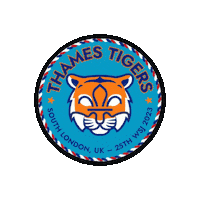 Wsj Wosm Sticker by South London Scouts