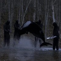 Forest Cross GIF