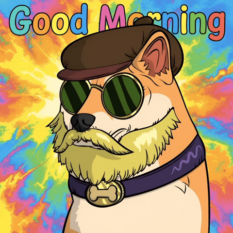 Greeting Good Morning GIF by Doge Pound