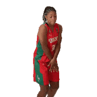 Selecao Feminina Happy Dance Sticker by FPBasquetebol