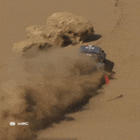 Drifting Saudi Arabia GIF by FIA World Rally Championship