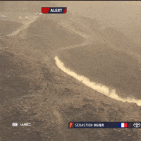Rallying Saudi Arabia GIF by FIA World Rally Championship