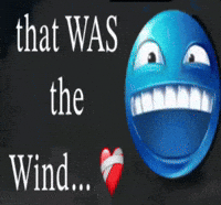 The Wind GIF