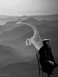 digital collage animation GIF by Brandon Muir