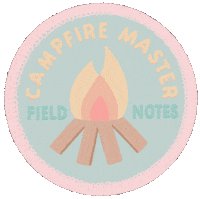 Fire Discover Sticker by Julie Flamingo