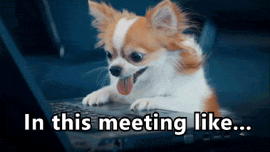 Video gif. Chihuahua sits in front of a laptop with its little paws tapping on the keyboard. Its ears are perked up and its tongue is hanging out of its mouth as it appears to type. Text, "In this meeting is like."