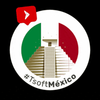 Tsoftglobal tsoft tsoftmexico GIF