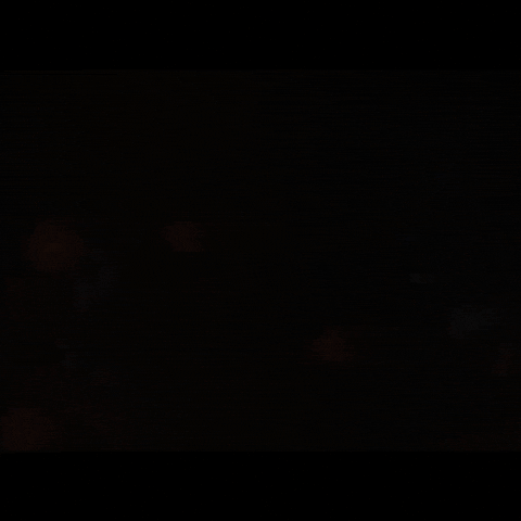 Vikings Tbs GIF by THE BEARD STRUGGLE