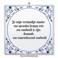 Impact Wijsheid GIF by Tegelspreuken.nl
