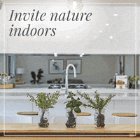 RayWhiteGroup  GIF