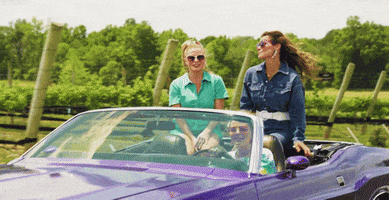 Waving Joy Ride GIF by NASCAR
