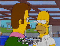 homer simpson episode 10 GIF