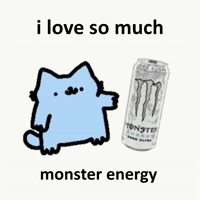 Spainnubcat GIF