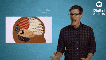 GIF by PBS