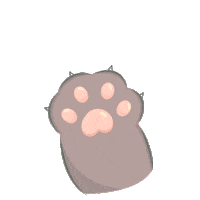 Cat Holi Sticker