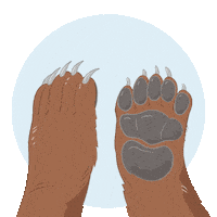 High Five Bear Sticker by Alaska Seafood