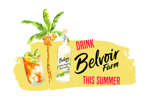 Fun Summer Sticker by Belvoir Lemonades & Cordials