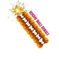 Diwali Celebrations Sticker by Hoovu Fresh