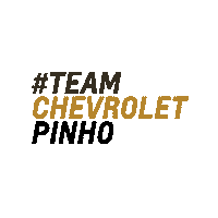 PINHOCHEVROLET chevrolet balao pinho balonismo Sticker