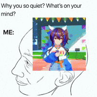 Whats On Your Mind Umamusume GIF
