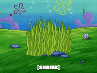 season 6 porous pockets GIF by SpongeBob SquarePants