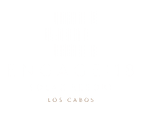 engage cabo enagage18 mexico Sticker by Engage18