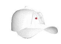 Fashion Caps Sticker by AB Lifestyle