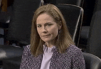Senate Judiciary Committee Lol GIF by GIPHY News
