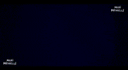 Maximicarelli GIF