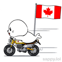 Canadian Football GIF by Sappy Seals
