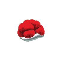 Schwarzwald Blackforest Sticker