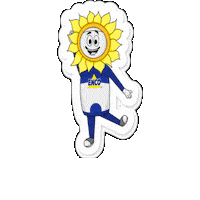 Spring Colores Sticker by ENCOALIMENTOS