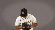 Cal State La Baseball GIF by Cal State LA Golden Eagles