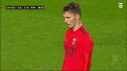 Tired Sl Benfica GIF by Sport Lisboa e Benfica