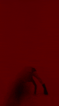 GIF by nettwerkmusic