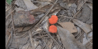 Earth Science Education GIF by DIIMSA Stock