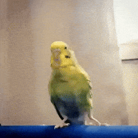 Did You Miss Me Hello GIF