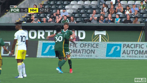 Soccer Celebration GIF by USL