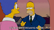 Episode 1 GIF by The Simpsons