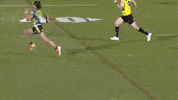 national rugby league raiders GIF by NRL