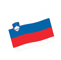 Ehfeuro2020 Sticker by EHF