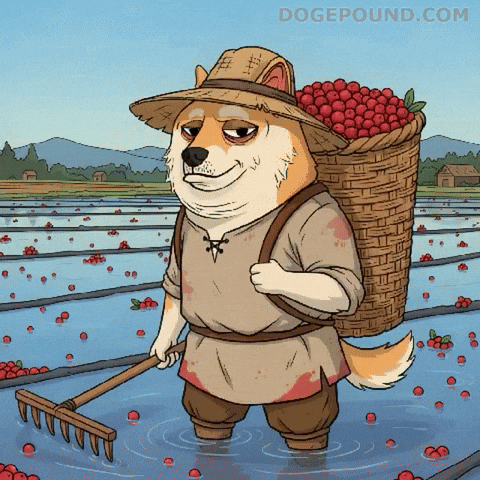 Working Shiba Inu GIF by Doge Pound