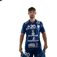 Hand Lion Sticker by GRAND BESANÇON DOUBS HANDBALL