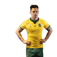 Rugby World Cup Dance Sticker by Wallabies Official
