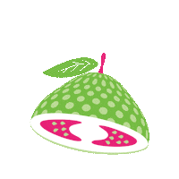 drinkwildwonder organic guava probiotic gut health Sticker